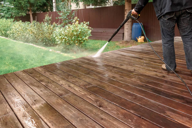 Professional  Pressure Washing Services in Bayou Blue, LA